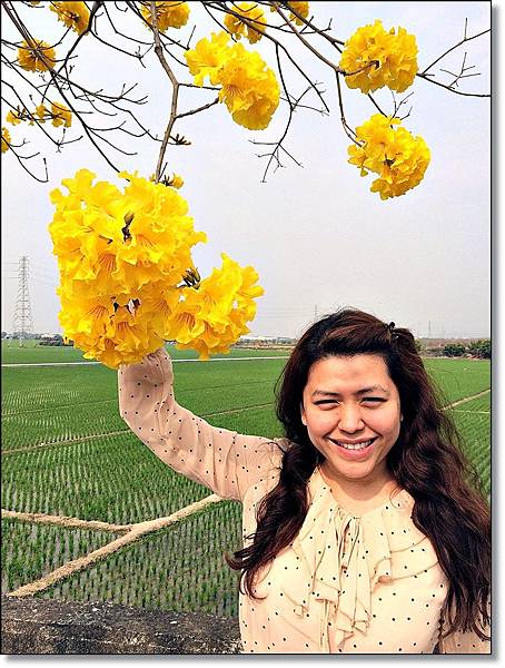 20150307_IMG_6395.JPG 20150307_IMG_6395.JPG