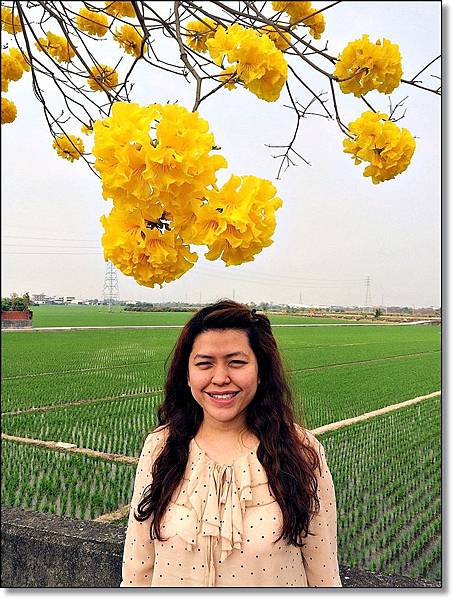 20150307_IMG_6398.JPG 20150307_IMG_6398.JPG