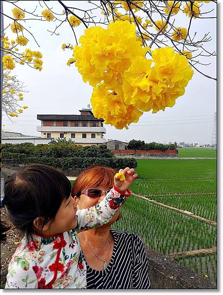 20150307_IMG_6399.JPG 20150307_IMG_6399.JPG