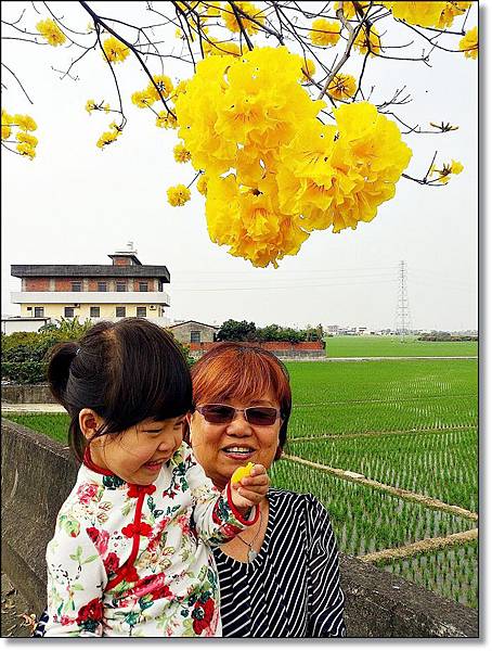 20150307_IMG_6401.JPG 20150307_IMG_6401.JPG