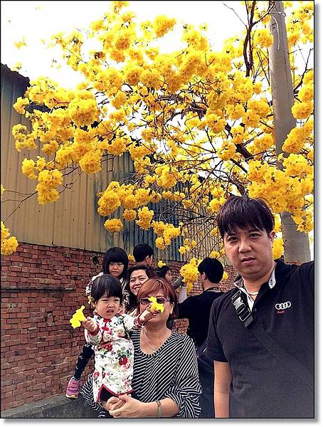 20150307_IMG_6420.JPG 20150307_IMG_6420.JPG