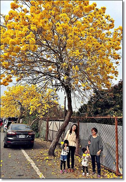 20150307_IMG_6425.JPG 20150307_IMG_6425.JPG