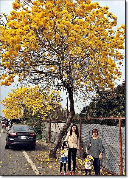 20150307_IMG_6434.JPG 20150307_IMG_6434.JPG