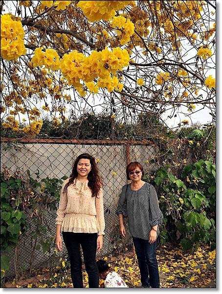 20150307_IMG_6440.JPG 20150307_IMG_6440.JPG