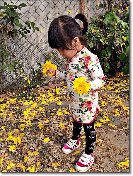 20150307_IMG_6443.JPG 20150307_IMG_6443.JPG