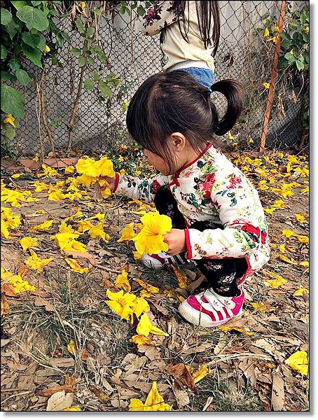 20150307_IMG_6444.JPG 20150307_IMG_6444.JPG