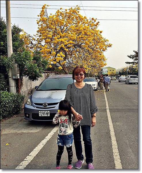 20150307_IMG_6450.JPG 20150307_IMG_6450.JPG