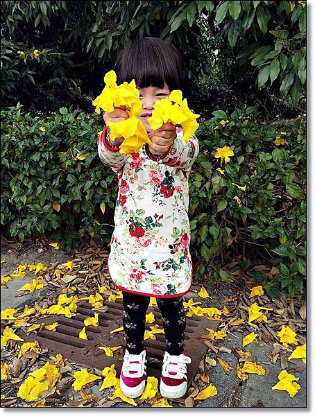 20150307_IMG_6490.JPG 20150307_IMG_6490.JPG