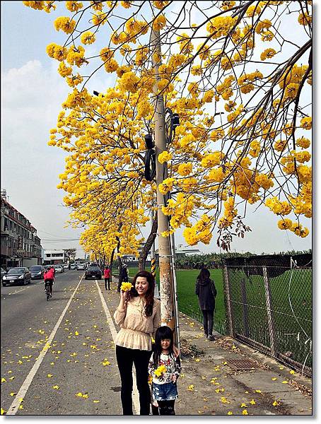 20150307_IMG_6550.JPG 20150307_IMG_6550.JPG