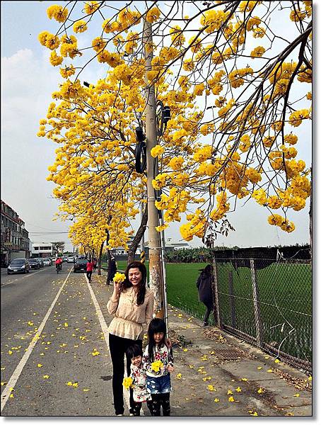 20150307_IMG_6552.JPG 20150307_IMG_6552.JPG