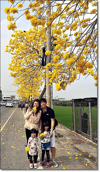 20150307_IMG_6570.JPG 20150307_IMG_6570.JPG