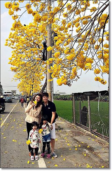 20150307_IMG_6599.JPG 20150307_IMG_6599.JPG