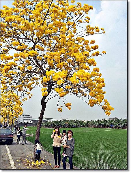 20150307_IMG_6610.JPG 20150307_IMG_6610.JPG