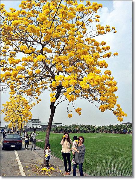 20150307_IMG_6612.JPG 20150307_IMG_6612.JPG