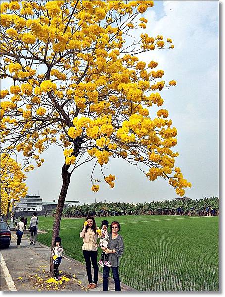 20150307_IMG_6614.JPG 20150307_IMG_6614.JPG