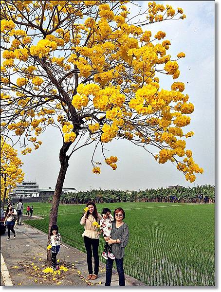 20150307_IMG_6617.JPG 20150307_IMG_6617.JPG