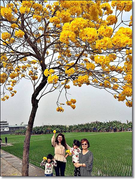 20150307_IMG_6623.JPG 20150307_IMG_6623.JPG