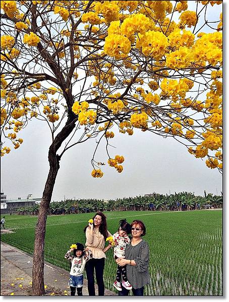 20150307_IMG_6628.JPG 20150307_IMG_6628.JPG