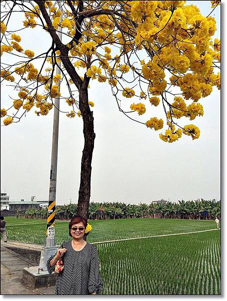 20150307_IMG_6653.JPG 20150307_IMG_6653.JPG