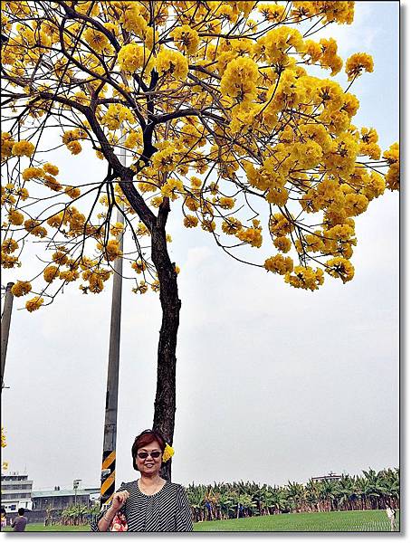 20150307_IMG_6658.JPG 20150307_IMG_6658.JPG