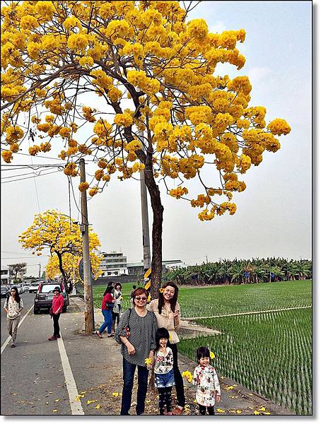 20150307_IMG_6661.JPG 20150307_IMG_6661.JPG