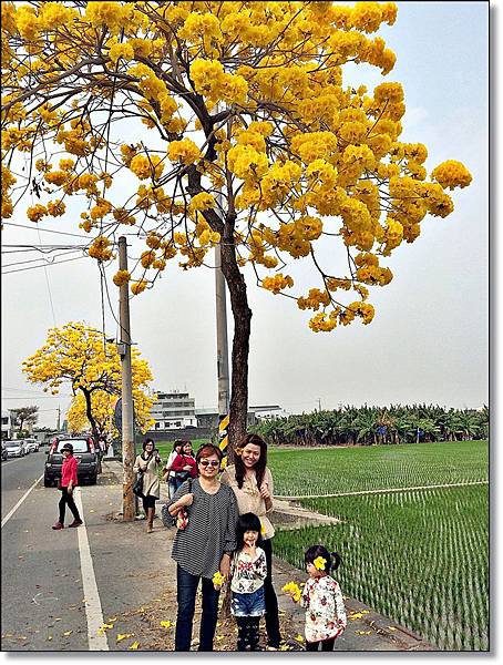 20150307_IMG_6663.JPG 20150307_IMG_6663.JPG