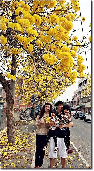 20150307_IMG_6752.JPG 20150307_IMG_6752.JPG