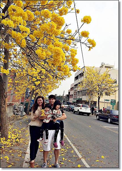 20150307_IMG_6753.JPG 20150307_IMG_6753.JPG