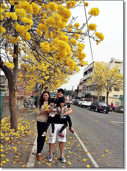 20150307_IMG_6757.JPG 20150307_IMG_6757.JPG