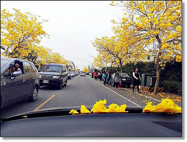 20150307_IMG_6763.JPG 20150307_IMG_6763.JPG