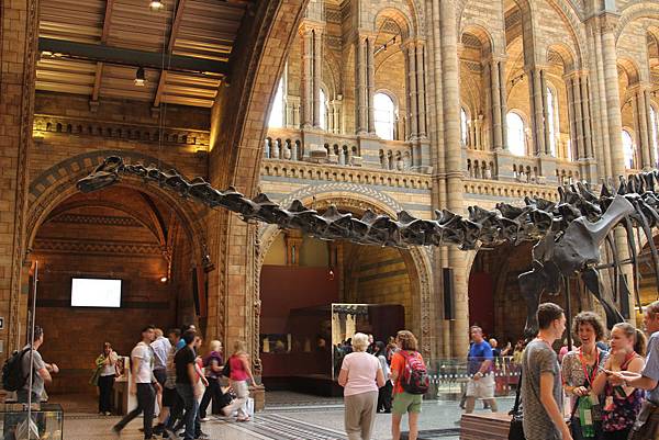 bum-史龍頭 bum-史龍頭