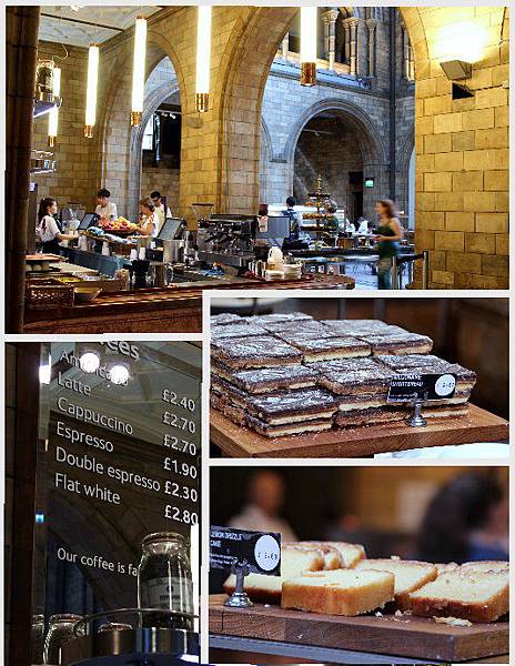 bum-史咖啡綜 bum-史咖啡綜