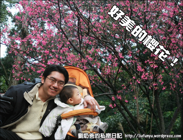 網路行銷SOP 網路行銷SOP