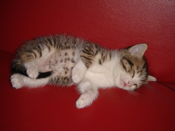 DSC01189.JPG DSC01189.JPG