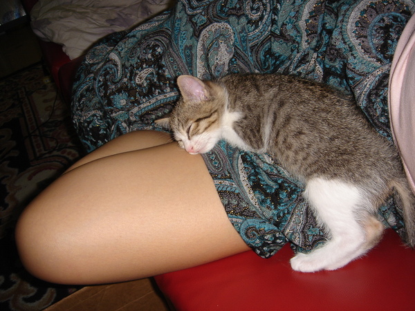 DSC01885.JPG DSC01885.JPG