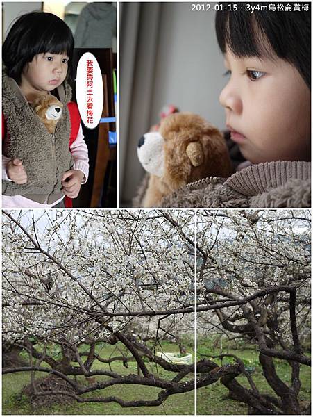 3y4m烏松侖賞梅01.jpg 3y4m烏松侖賞梅01.jpg