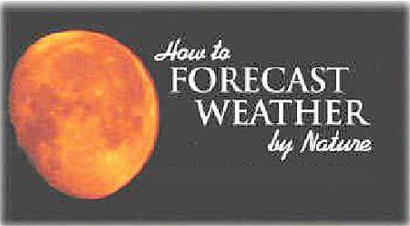 20140729-18 20140729-18