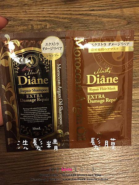 1427101790-1715124711_n.jpg?v=1427101791
