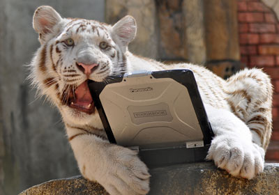02-how-do-i-open-nalin-toughbook4.jpg 02-how-do-i-open-nalin-toughbook4.jpg