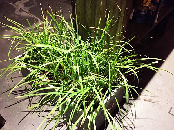 IMG_0686.JPG IMG_0686.JPG