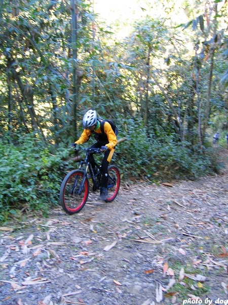IMG_0225.jpg IMG_0225.jpg