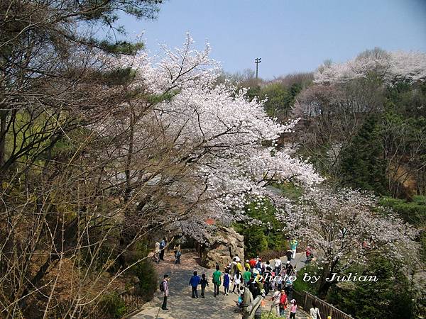 16SANY0297 16SANY0297