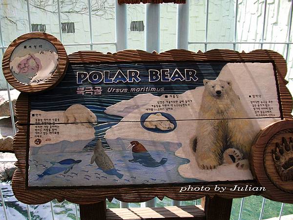 20SANY0242 20SANY0242