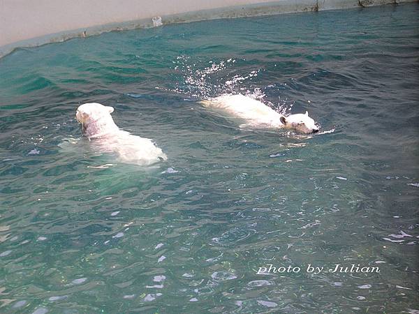 21SANY0240 21SANY0240