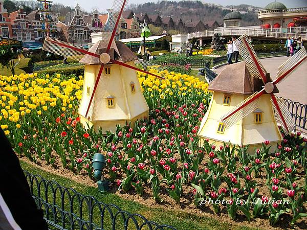 37SANY0265 37SANY0265