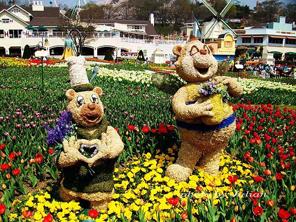 38SANY0279 38SANY0279