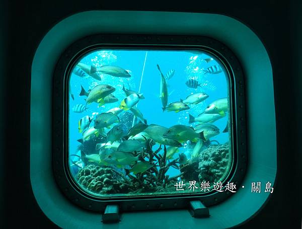 19DSC00614 19DSC00614