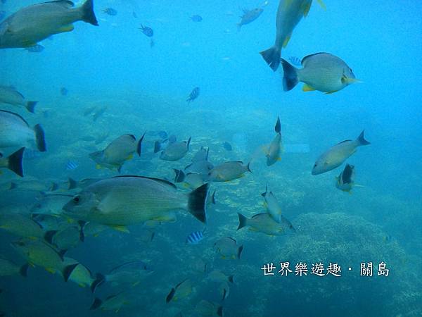 20DSC00642 20DSC00642