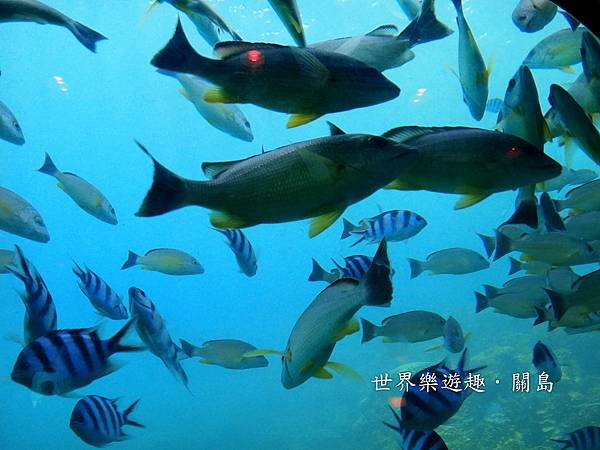 21DSC00637 21DSC00637