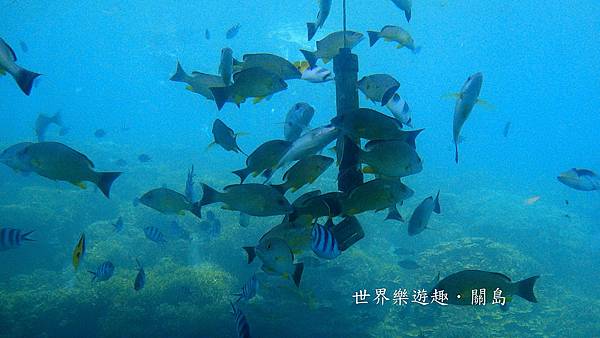 22DSC00636 22DSC00636